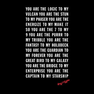 You are the logic to my Vulcan