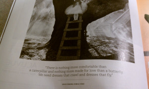 always love the quotes that Real Simple magazine chooses… this one ...
