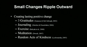 TEDxBloomington - Shawn Achor - 