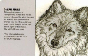 The Wolf Pack Tarot Deck