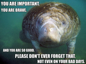 Calming Manatee: My new discovery