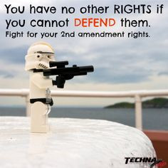 ... amendment rights. conceal carry, pro gun, gun laws, pro gun rights