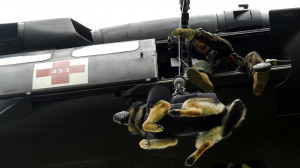 26 Awesome Photos Of War Dogs Showing How Badass And Cute They Can Be