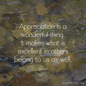 Appreciation is a wonderful thing. It makes what is excellent in ...