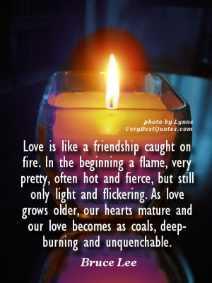 Love quotes - Love is like a friendship caught on fire. In the ...