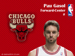 Pau Gasol Bulls Wallpaper 23
