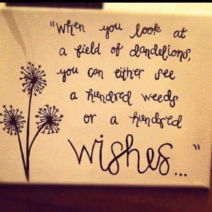 know my hundred wishes...do you?
