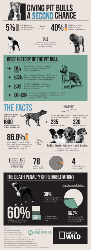 The Truth About Pit Bulls