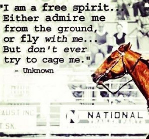 am a free spirit. Either admire me from the ground, or fly with me ...