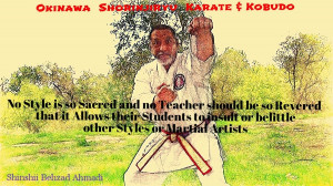 Okinawa Shorinjiryu Karate & Kobudo Organization