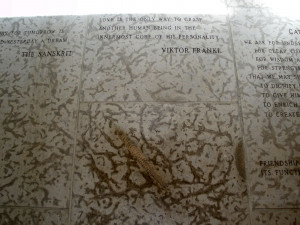 Fossils Quotes