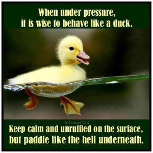 when under pressure, it is wise to behave like a duck. keep calm and ...
