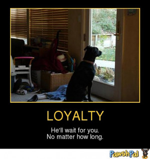 dogs loyalty