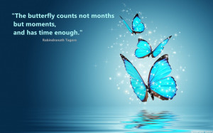 Butterfly Images With Quotes Butterfly counts quotes