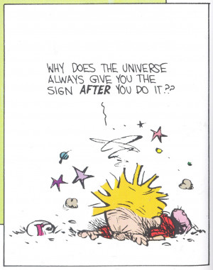 Calvin and Hobbes: A Sign from the Universe