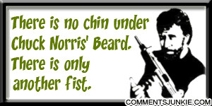 There is no chin under Chuck Norris' beard. Only another fist.