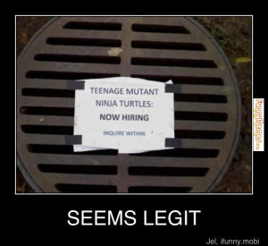 598417_478865945512816_670049506_n