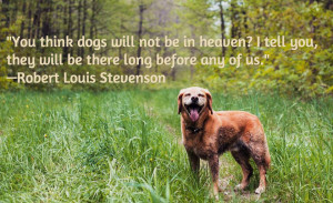 ... quotes about dog loss. While pets lives’ are temporary, our love for