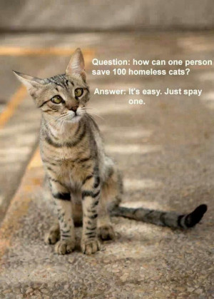Spay and neuter cats and dogs♥