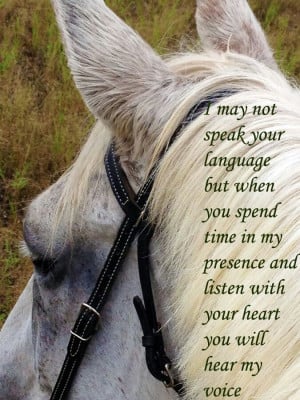 horse quote....Cowgirl at heart!