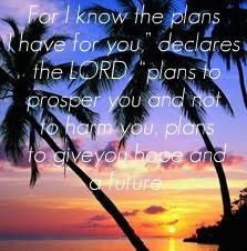 sunsets bible quotes holiday destinations palms trees palm trees palms ...