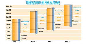 2008 number naplan test level year reading test year nationally