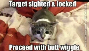 Displaying (18) Gallery Images For Proceed Cat...