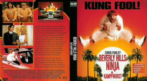 Beverly Hills Ninja Cover picture