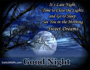 ... the Lights and Go to Sleep See You In the Morning ~ Good Night Quote