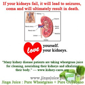 Kidney failure is not a nice experience. And that is saying it very ...