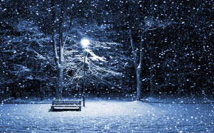 Home Browse All Snow Storm Park Bench