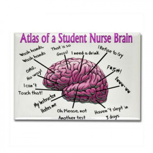 nursing student's brain