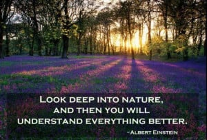 Quotes of albert einstein look deep into nature famous people quotes ...