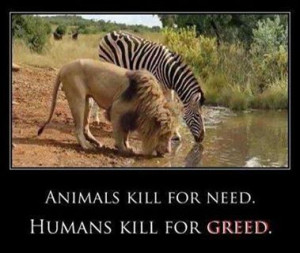 Humans kill for greed