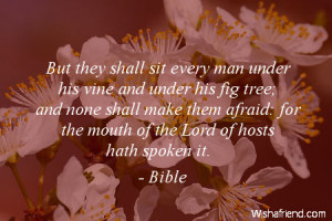 but they shall sit every man under his vine and under his fig tree and ...