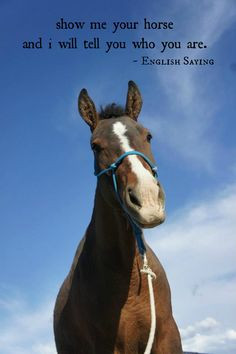 Show me your horse and i will tell you who you are. ~English Saying