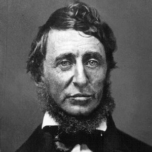 1132 quotes from Henry David Thoreau: 'I learned this, at least, by my ...