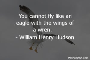 bird-You cannot fly like an eagle with the wings of a wren.