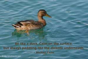 Be like a duck. Calm on the surface, but always paddling like the ...