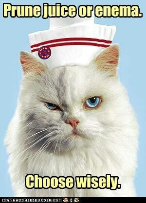 Mean Cat Nurse Humor: Choose wisely.