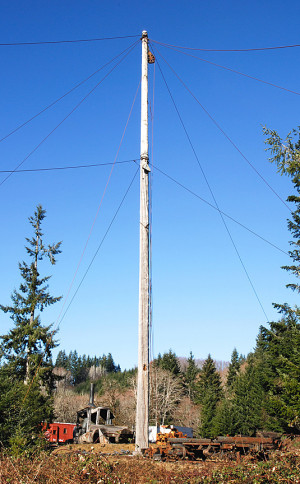 sparknotes racist quotes in huck finn