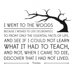 Quote by D.H. Thoreau. Love the Walden echoes in Drums of Autumn.