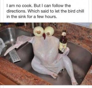 funny-picture-cook-bird-chill