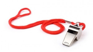 Mothers-in-Law and Daughters-in-Law: Rules of the Game