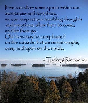 Quote by Tsoknyi Rinpoche
