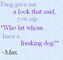 raises eyebrows fang is such a softy with angel more fang quotes ...