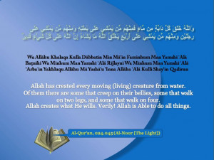 Al-Quran The Light Islamic Quote wallpaper