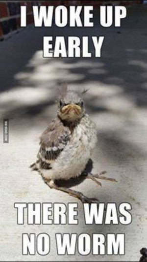 Early bird gets the worm? Not so fast...