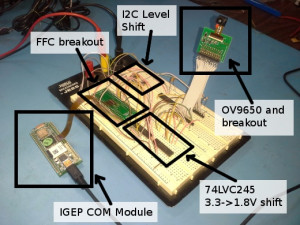 Plethora Pennies Modicum Sense Funny Stupid Customer