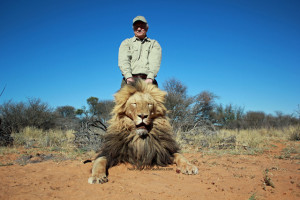 African Lion Hunting Packages